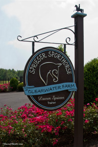 Sprieser Sporthorse sign