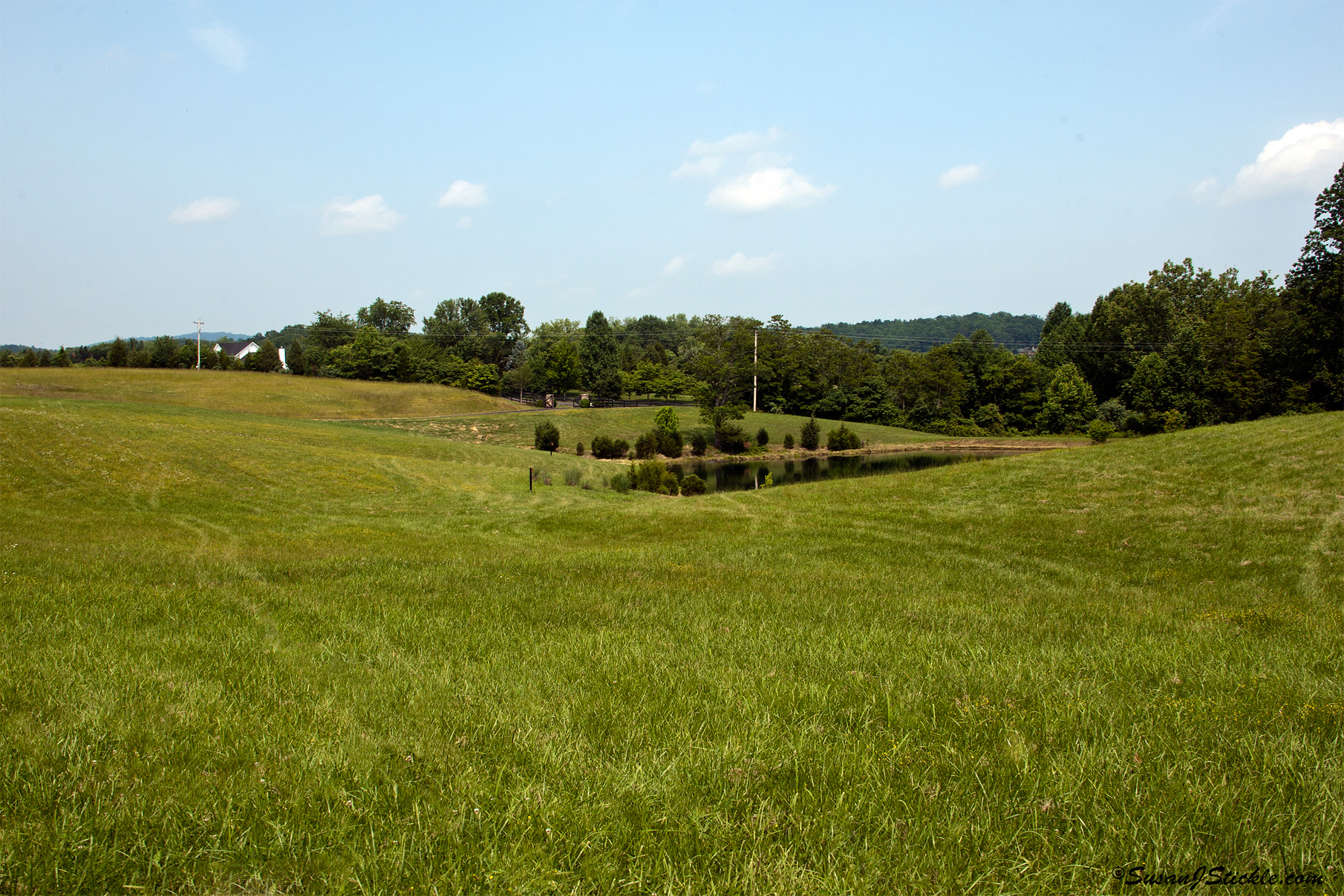 paths are available for riding over open grassy hills, through