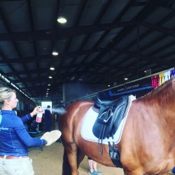 That Show Ring Shine hishine