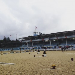 How To Prepare For Devon sprieserdevongrandstand