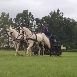 The Outside Rein Rules sprieserdriving-700x393