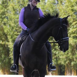 Danny Ocean Colic Fund Online Auction IMG_3363