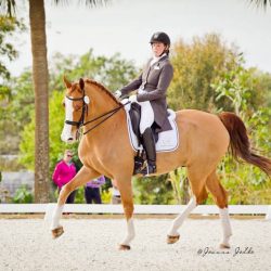 New Year, New Clinics! January E-Newsletter lizamidgepsg17