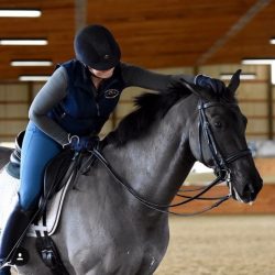 My Equine Illness & Injury Survival Kit FullSizeRender 28
