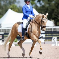 Down To The Wire Of Florida 2018 laurenheliogdf