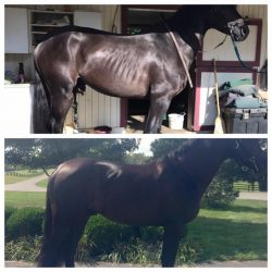 The Delicate Art Of Taking Time Swaggerbeforeafter