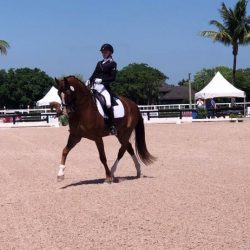 We’re In The Home Stretch! March 2019 e-Newsletter 54728438_10156788865026999_716911998268342272_n