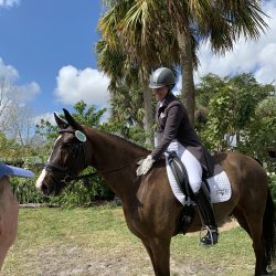 Elvis Has Entered A Horse Show elvisfirstpsg