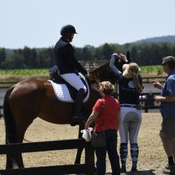 A Wild and Winning June! E-newsletter 48078817333_1e5242823d_k