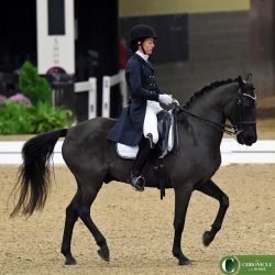 Succeeding From Home ravencoth