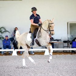 Camp, Winter Training Weekends & More – January e-Newsletter WEB.MMP_8407©meg-mcguire.com.