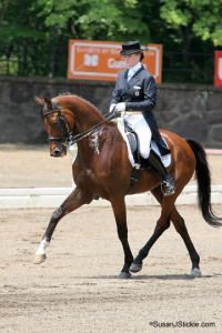 Bellinger, one of Lauren Sprieser's dressage horses