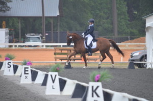 Sprieser Sporthorse student competes in a dressage test