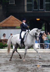 Clairvoya, one of Lauren Sprieser's dressage horses