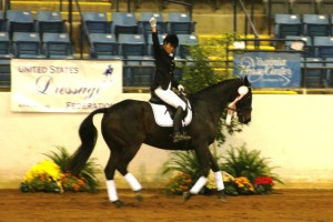Sprieser Sporthorse student in competition