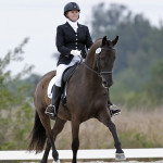 Fender, one of Lauren Sprieser's dressage horses