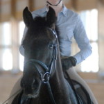 Fender, one of Lauren Sprieser's dressage horses