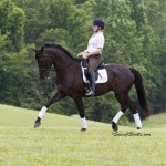 Fender, one of Lauren Sprieser's dressage horses