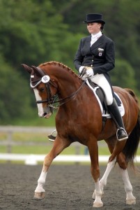 Victorious, one of Lauren Sprieser's dressage horses