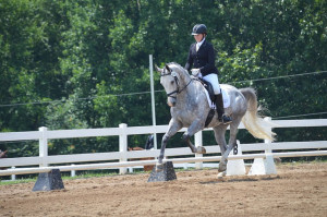 Lauren Sprieser competing on her horse Dorian Gray