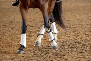 Piaffe evo hot sale dressage boots