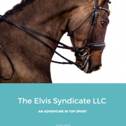 The Elvis Syndicate LLC Screen Shot 2021-02-10 at 9.54.14 AM